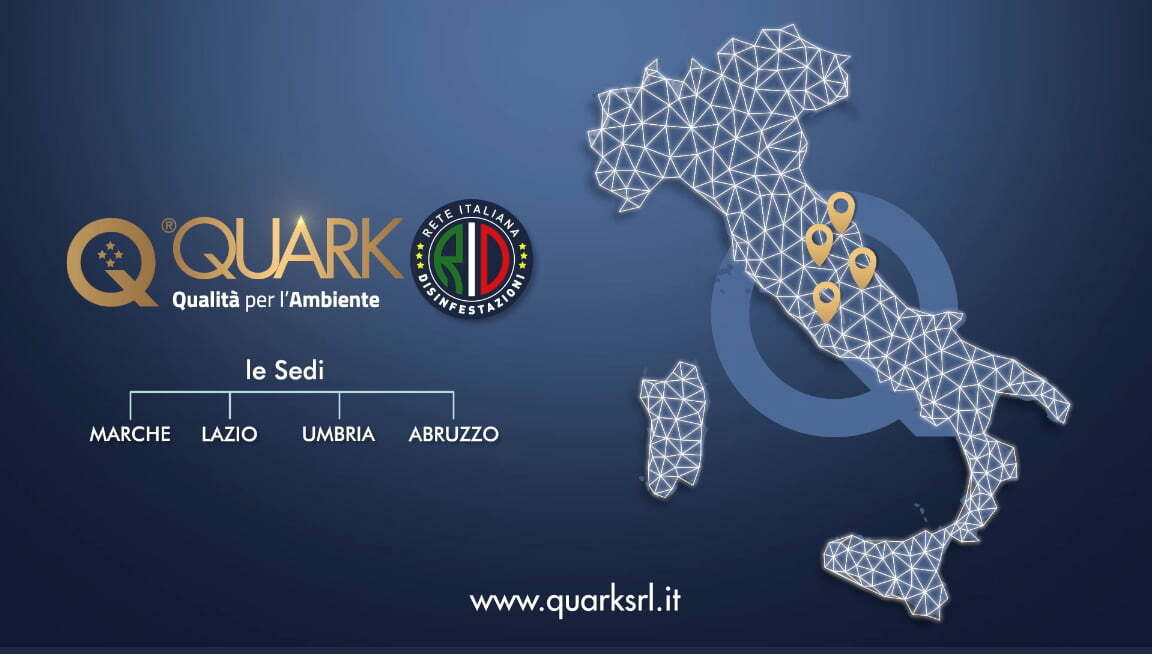 Logo Quark Srl